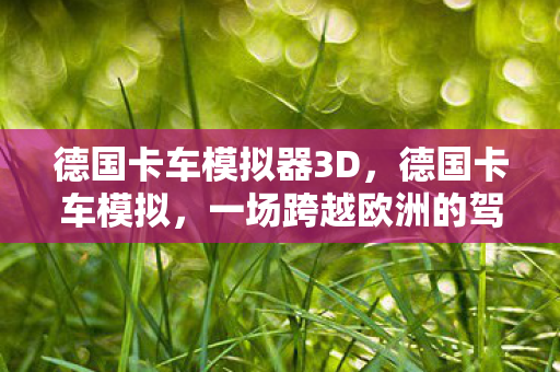 德国卡车模拟器3D，德国卡车模拟，一场跨越欧洲的驾驶之旅