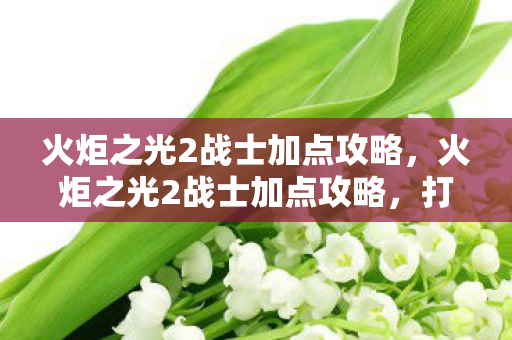 火炬之光2战士加点攻略图片
