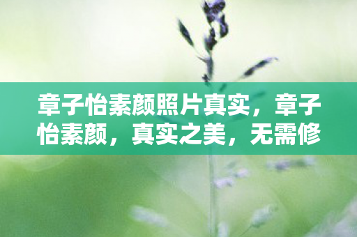 章子怡素颜照片真实，章子怡素颜，真实之美，无需修饰