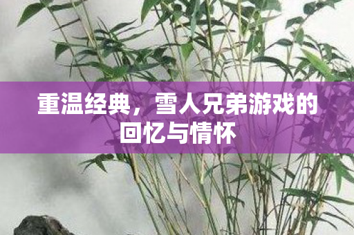 重温经典，雪人兄弟游戏的回忆与情怀