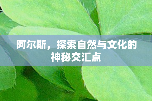阿尔斯，探索自然与文化的神秘交汇点