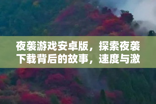 夜袭游戏安卓版，探索夜袭下载背后的故事，速度与激情的邂逅