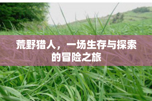 荒野猎人，一场生存与探索的冒险之旅