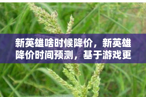 基于游戏更新与玩家反馈的解读图片