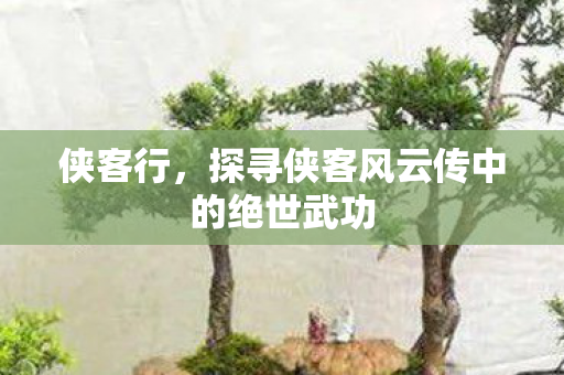 侠客行,探寻侠客风云传中的绝世武功 侠客行,探寻侠客风云传中的绝世武功
