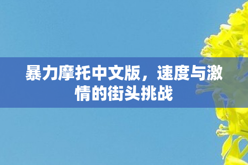 暴力摩托中文版，速度与激情的街头挑战