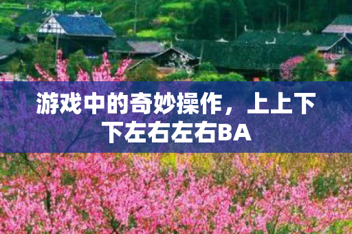 游戏中的奇妙操作，上上下下左右左右BA