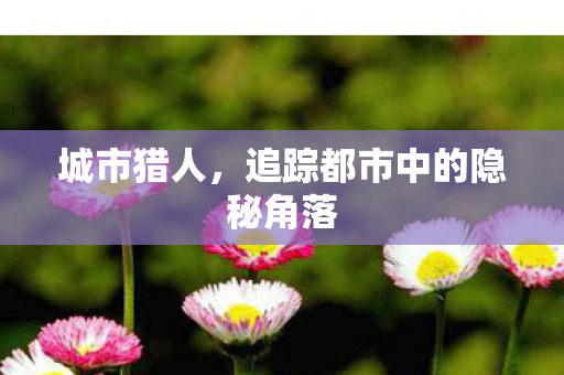 追踪都市中的隐秘角落图片