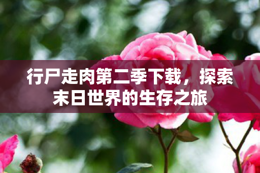 探索末日世界的生存之旅图片