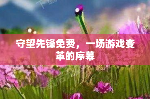 守望先锋免费，一场游戏变革的序幕