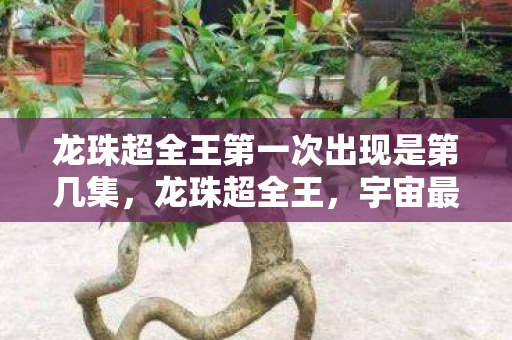 龙珠超全王第一次出现是第几集，龙珠超全王，宇宙最强的神秘存在