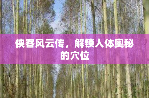 侠客风云传，解锁人体奥秘的穴位