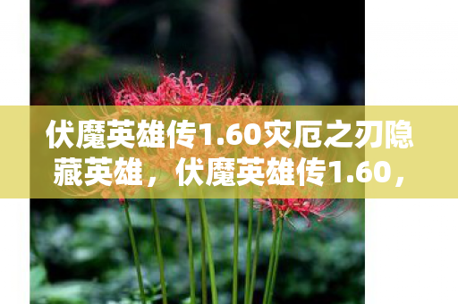 60灾厄之刃隐藏英雄图片