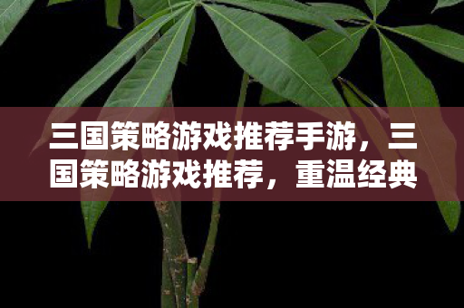 三国策略游戏推荐手游图片