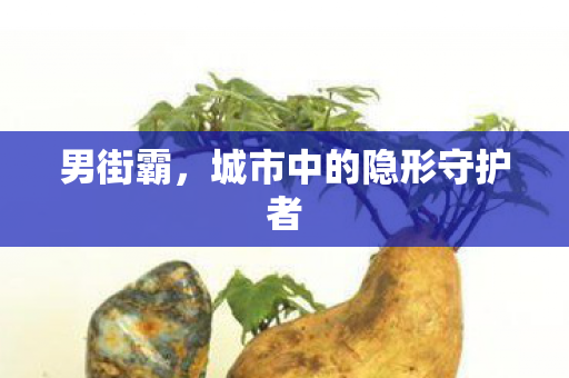 男街霸，城市中的隐形守护者