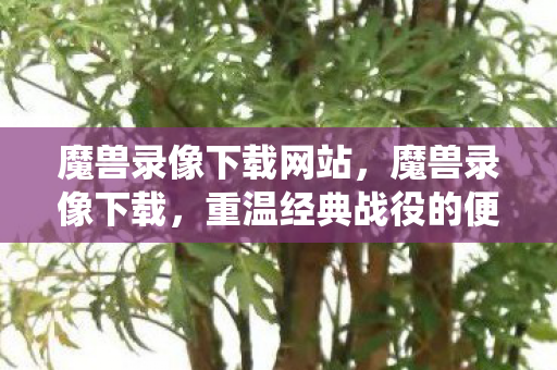 魔兽录像下载网站，魔兽录像下载，重温经典战役的便捷途径