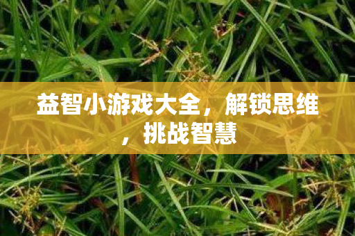 益智小游戏大全，解锁思维，挑战智慧