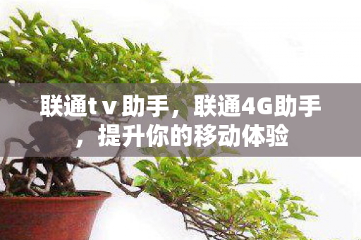 联通tⅴ助手，联通4G助手，提升你的移动体验