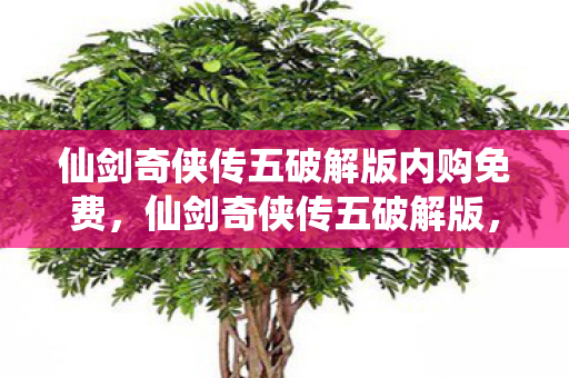 仙剑奇侠传五破解版内购免费，仙剑奇侠传五破解版，重温经典，探索未知