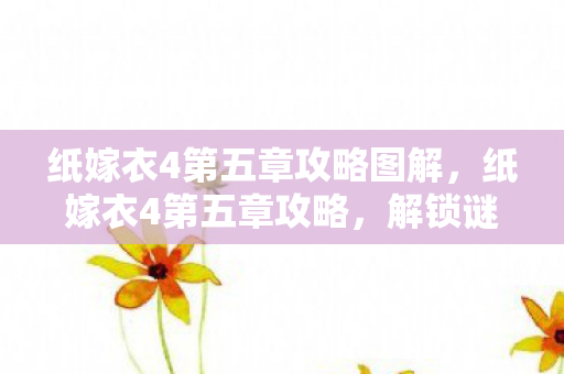 纸嫁衣4第五章攻略图解，纸嫁衣4第五章攻略，解锁谜题，揭开真相