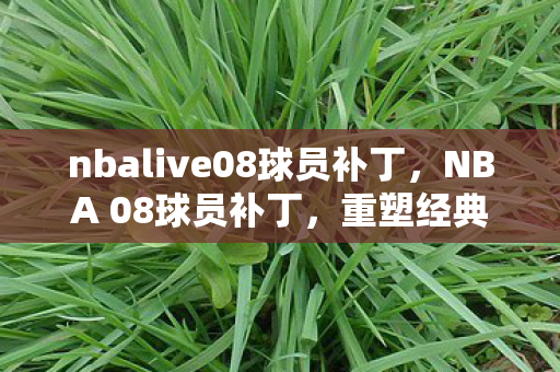 nbalive08球员补丁，NBA 08球员补丁，重塑经典，再现辉煌