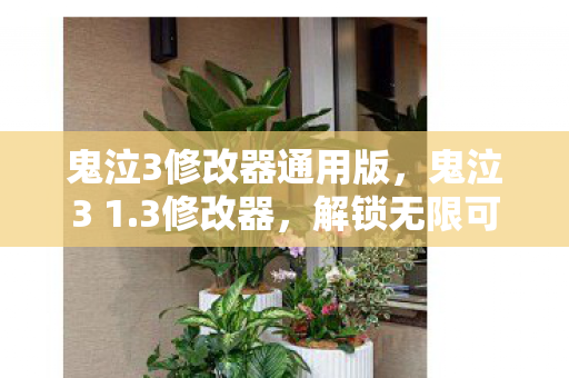 鬼泣3修改器通用版，鬼泣3 1.3修改器，解锁无限可能的战斗艺术
