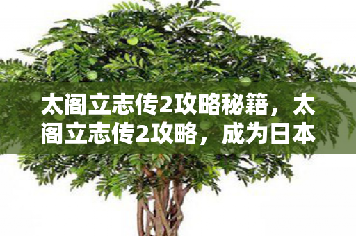 太阁立志传2攻略秘籍，太阁立志传2攻略，成为日本战国时代巨擘的秘诀