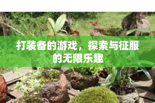 打装备的游戏，探索与征服的无限乐趣
