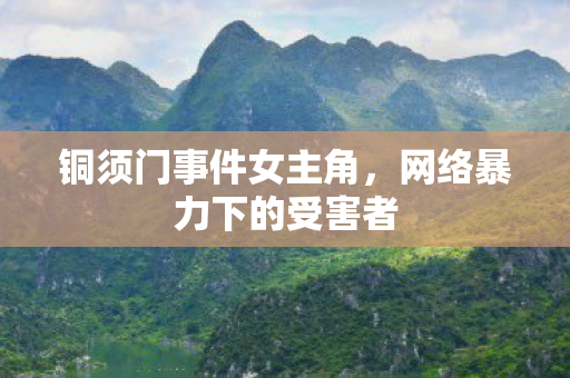 铜须门事件女主角，网络暴力下的受害者