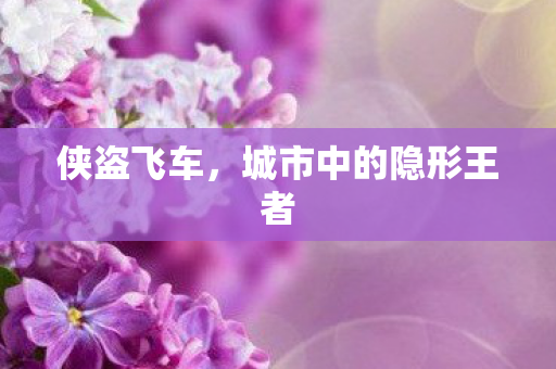侠盗飞车，城市中的隐形王者
