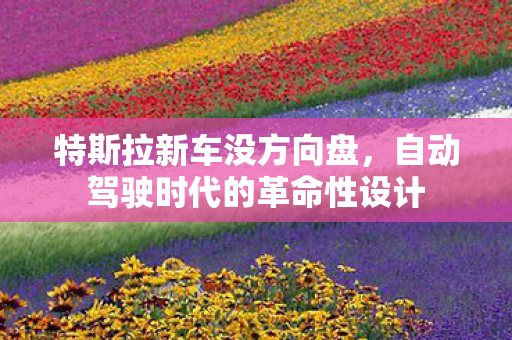 自动驾驶时代的革命性设计图片