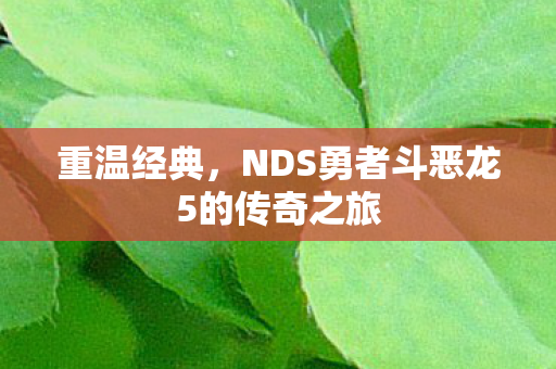 NDS勇者斗恶龙5的传奇之旅图片