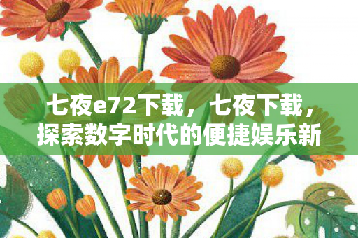 七夜e72下载，七夜下载，探索数字时代的便捷娱乐新体验