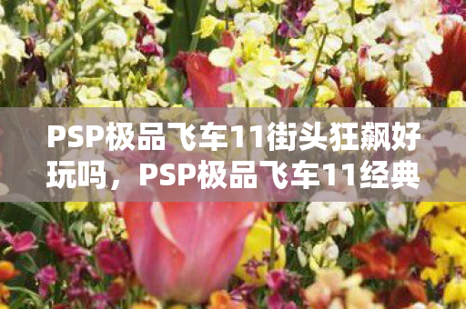 PSP极品飞车11街头狂飙好玩吗，PSP极品飞车11经典重温，速度与激情的掌中盛宴