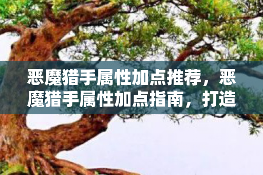 恶魔猎手属性加点推荐图片