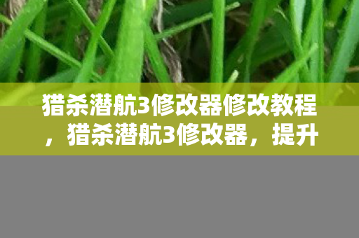 猎杀潜航3修改器修改教程，猎杀潜航3修改器，提升游戏乐趣的神奇工具