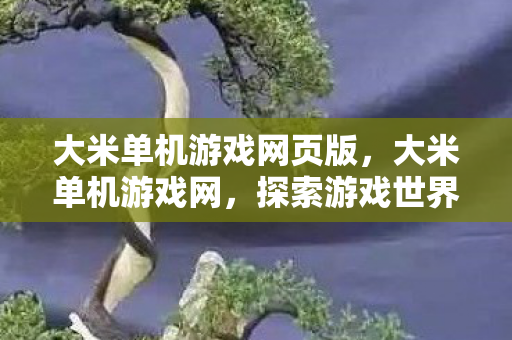 大米单机游戏网页版，大米单机游戏网，探索游戏世界的奇妙之旅