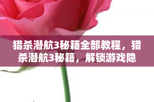 猎杀潜航3秘籍全部教程，猎杀潜航3秘籍，解锁游戏隐藏功能的秘密指南