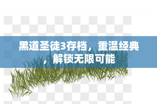 黑道圣徒3存档，重温经典，解锁无限可能