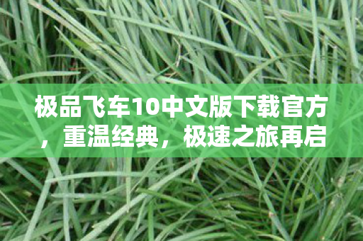 极品飞车10中文版下载官方图片