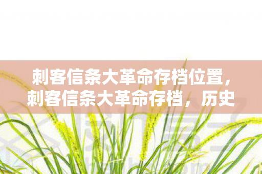 刺客信条大革命存档位置，刺客信条大革命存档，历史与文化的传承