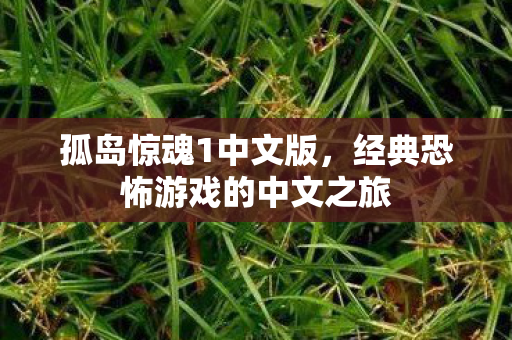 孤岛惊魂1中文版，经典恐怖游戏的中文之旅