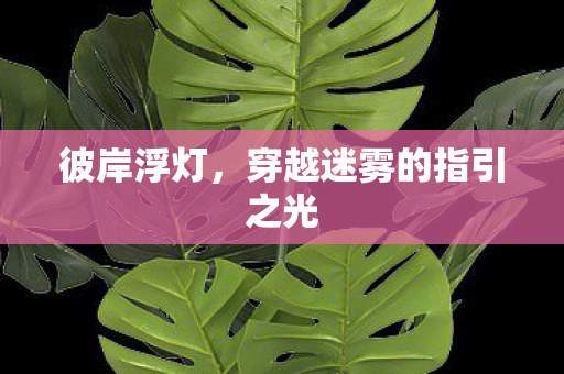 彼岸浮灯，穿越迷雾的指引之光