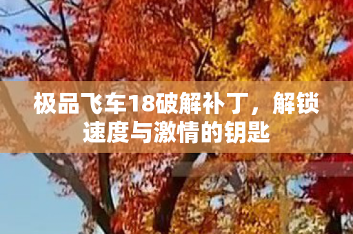 极品飞车18破解补丁，解锁速度与激情的钥匙