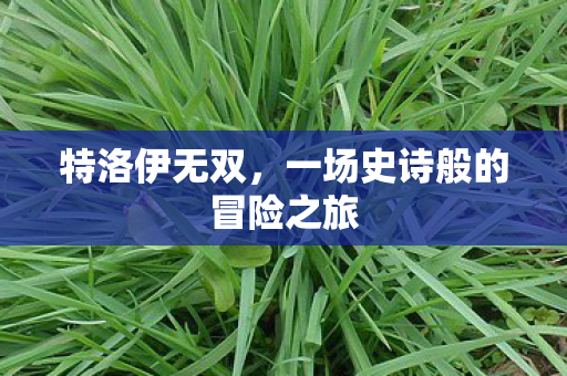 特洛伊无双，一场史诗般的冒险之旅