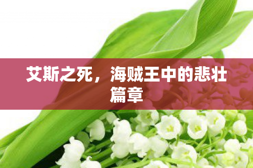 艾斯之死，海贼王中的悲壮篇章