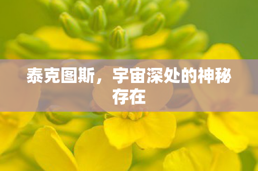 泰克图斯，宇宙深处的神秘存在