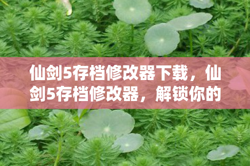 仙剑5存档修改器下载，仙剑5存档修改器，解锁你的游戏新可能