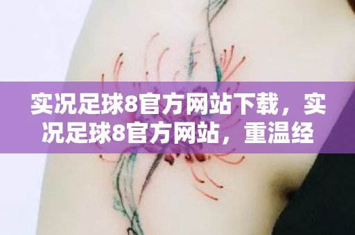 实况足球8官方网站下载，实况足球8官方网站，重温经典，畅享足球盛宴