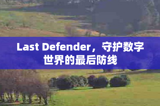 Last Defender，守护数字世界的最后防线